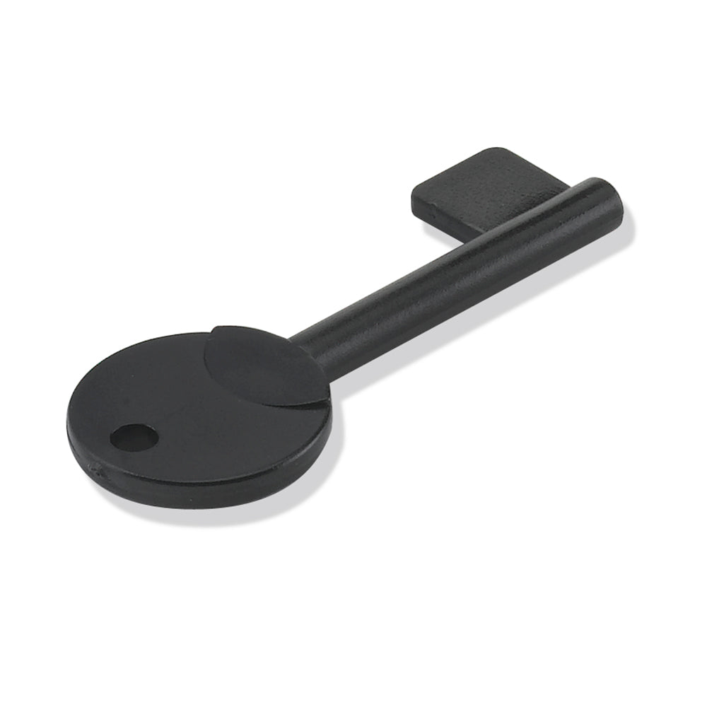 BG1 KEY - Key
