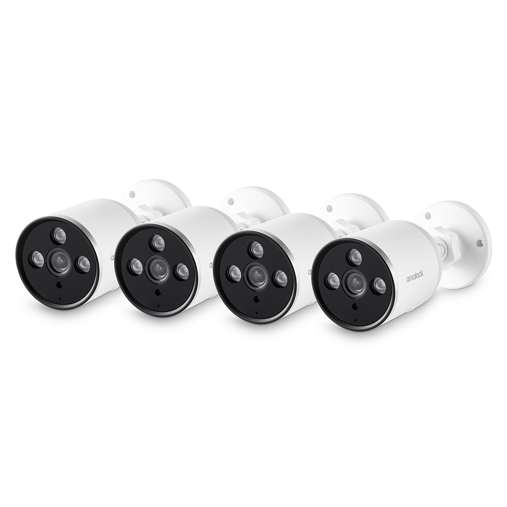 CCTV403 - 4Ch Wireless Nvr Kit